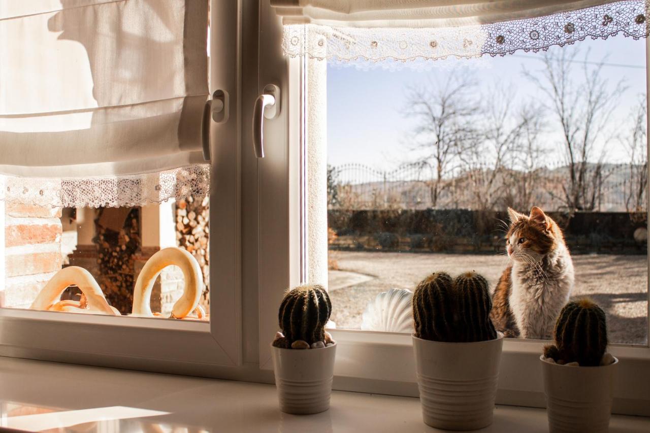 Bed and Breakfast Casa Taro Marsaglia  Экстерьер фото